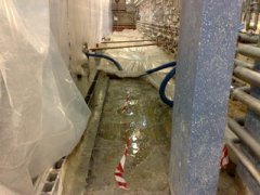 pavimento - 15_400_300_100.jpg